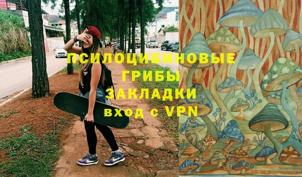 соль ск Елизово