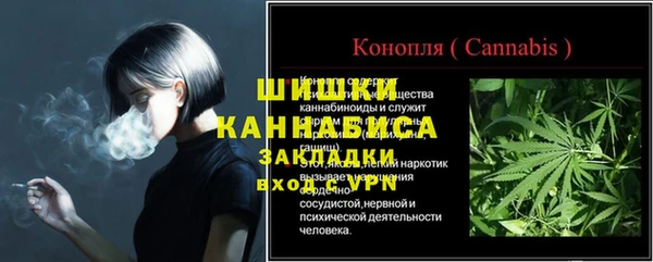 ГАЛЛЮЦИНОГЕННЫЕ ГРИБЫ Заводоуковск