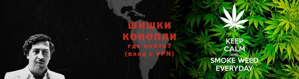 дурь Елабуга