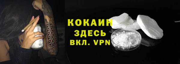 ГАЛЛЮЦИНОГЕННЫЕ ГРИБЫ Заводоуковск