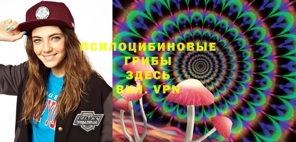 крисы Заволжск
