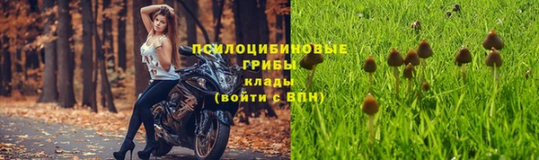 наркотики Приозерск