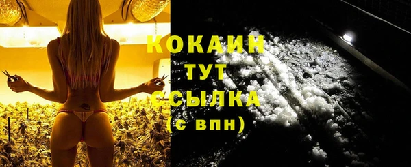 соль ск Елизово