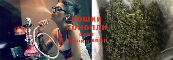ГАЛЛЮЦИНОГЕННЫЕ ГРИБЫ Заводоуковск