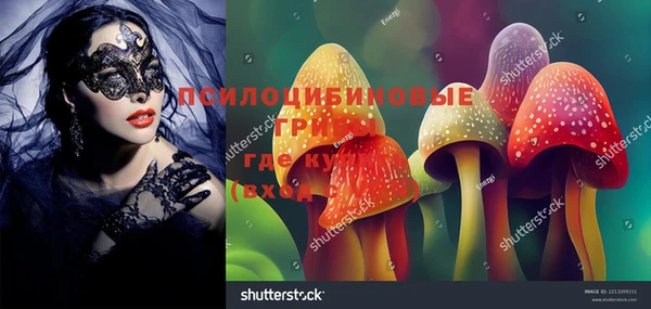 гидра Заволжье