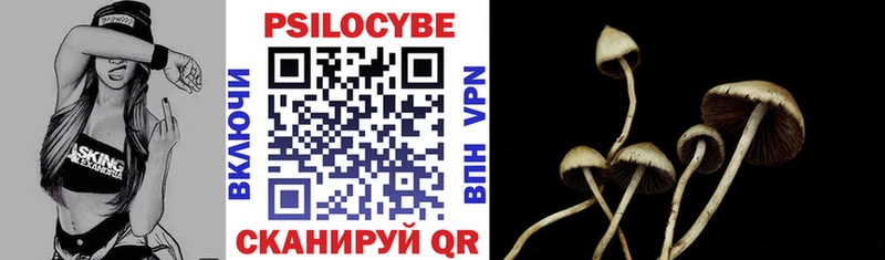 Купить где  Новоульяновск  Псилоцибиновые грибы GOLDEN TEACHER 